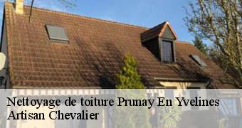 Nettoyage de toiture 78660