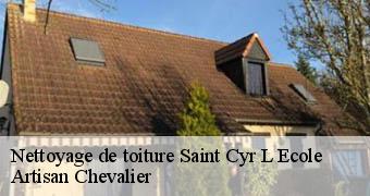 Nettoyage de toiture 78210