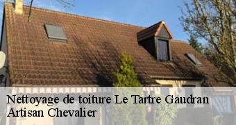 Nettoyage de toiture 78113