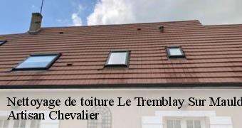 Nettoyage de toiture