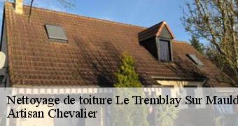 Nettoyage de toiture  78490