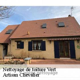Nettoyage de toiture  vert-78930 Artisan Chevalier