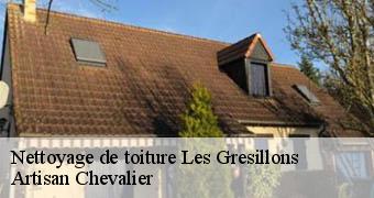 Nettoyage de toiture 78955