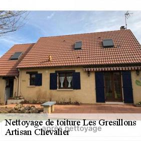 Nettoyage de toiture  les-gresillons-78955 Artisan Chevalier