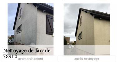 Nettoyage de façade 78910
