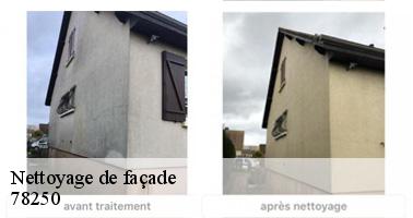 Nettoyage de façade  78250
