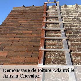 Demoussage de toiture  adainville-78113 Artisan Chevalier