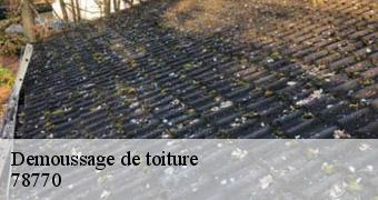 Demoussage de toiture 78770