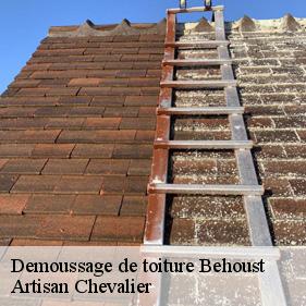 Demoussage de toiture behoust-78910 Artisan Chevalier