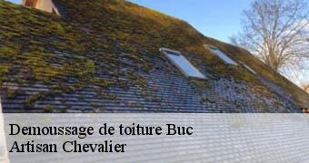 Demoussage de toiture 78530