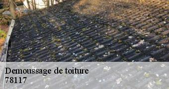 Demoussage de toiture  78117