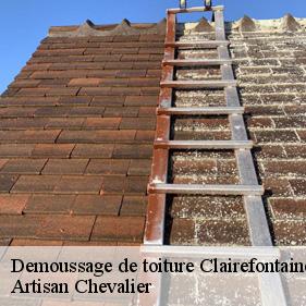 Demoussage de toiture  clairefontaine-en-yvelines-78120 Artisan Chevalier