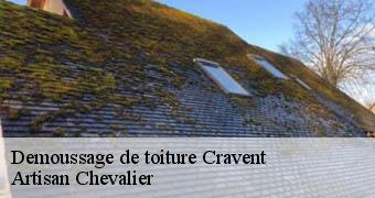 Demoussage de toiture 78270