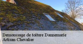 Demoussage de toiture 78550