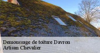 Demoussage de toiture 78810