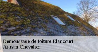 Demoussage de toiture 78990
