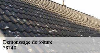 Demoussage de toiture  78740