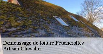 Demoussage de toiture 78810