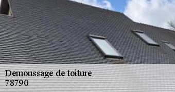 Demoussage de toiture