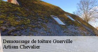 Demoussage de toiture 78930