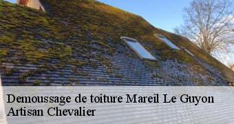 Demoussage de toiture 78490