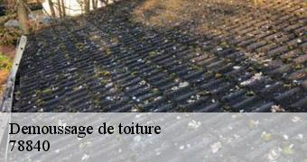 Demoussage de toiture 78840