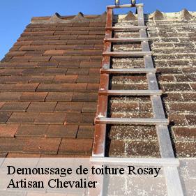 Demoussage de toiture  rosay-78790 Artisan Chevalier