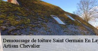 Demoussage de toiture 78100
