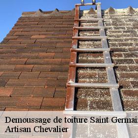 Demoussage de toiture  saint-germain-en-laye-78100 Artisan Chevalier