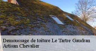 Demoussage de toiture 78113