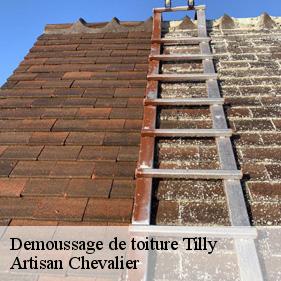 Demoussage de toiture tilly-78790 Artisan Chevalier