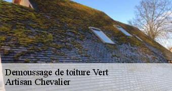 Demoussage de toiture 78930
