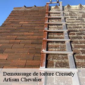Demoussage de toiture  cressely-78114 Artisan Chevalier