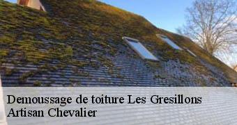 Demoussage de toiture 78955