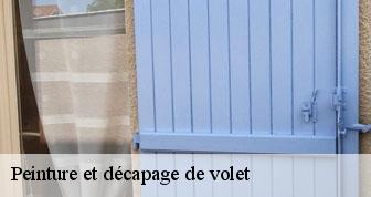 Peinture et décapage de volet  78260