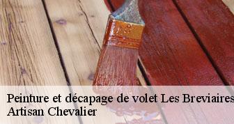 Peinture et décapage de volet