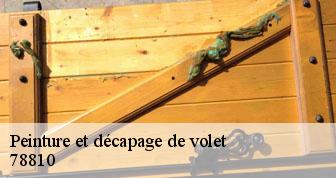 Peinture et décapage de volet 78810