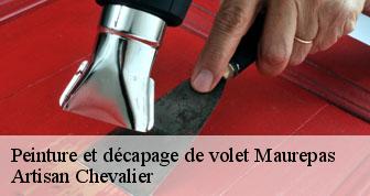 Peinture et décapage de volet 78310