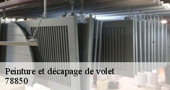 Peinture et décapage de volet