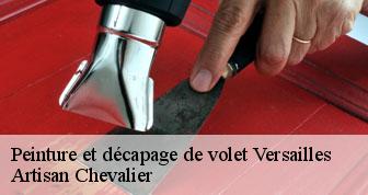 Peinture et décapage de volet  78000