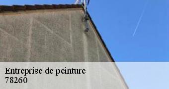 Entreprise de peinture  78260