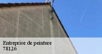 Entreprise de peinture  78126