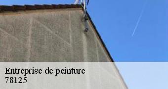 Entreprise de peinture  78125