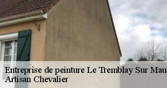 Entreprise de peinture  78490