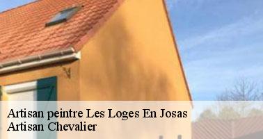 Artisan peintre 78350