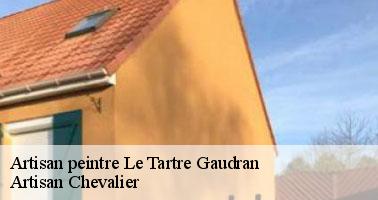 Artisan peintre 78113