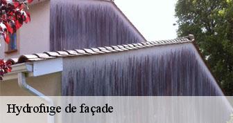 Hydrofuge de façade