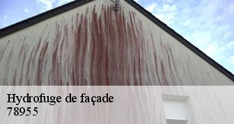 Hydrofuge de façade  78955