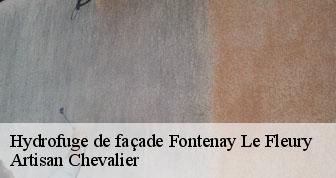 Hydrofuge de façade 78330