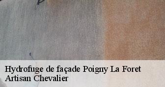 Hydrofuge de façade 78125
